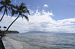 Kulakane Resort 111 The Turtle House