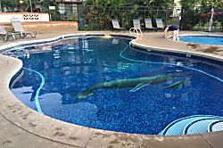 Kauhale Makai 2 Bedroom