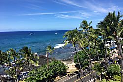 Kahakai Kona Ali’i