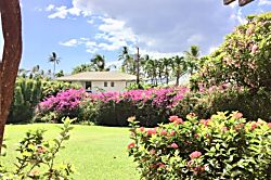 Ekahi Lower Village -  20b