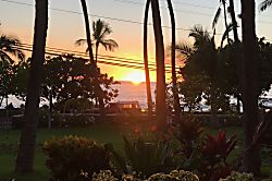 The Palm 3rd Floor Studio Condo