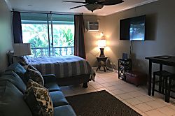 The Palm 3rd Floor Studio Condo