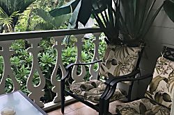 The Palm 3rd Floor Studio Condo