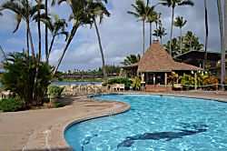 Napili Shores Resort F-245