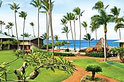 Napili Shores Resort F-245