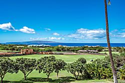 Wailea Ekolu 310