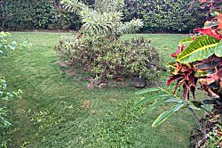 Honokowai Palms  B-5