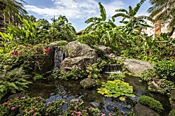 Kaanapali Shores 318