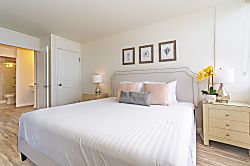 Ilikai Marina Ocean 17th Floor