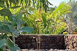 Hale Moe' Uhane (Dream House)