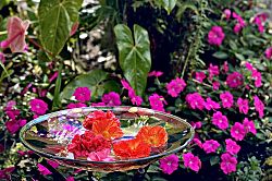 Gigi's Volcano Cottage