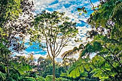 Gigi's Volcano Cottage