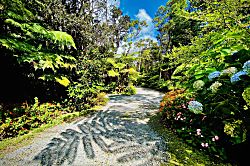 Gigi's Volcano Cottage