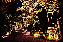 Gigi's Volcano Cottage