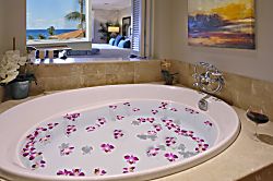 Wailea Beach Villas PH I-203