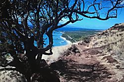 Kaanapali Beach Club Timeshare Resort Unit