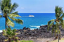 Kanaloa at Kona 1606 - Palms frame the lava-rock shoreline where boats drift across the blue.