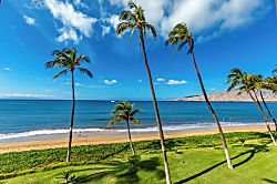 Sugar Beach Resort Condo Rental - Beach