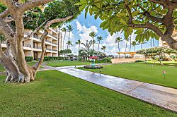 Sugar Beach Resort Condo Rental - Property grounds
