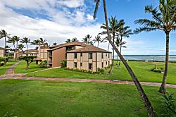 Pono Kai 1 Bedroom Condo