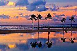 Ilikai Hotel 18th Floor Condo