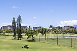 Kaanapali Royal A301