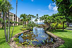 Papakea Resort Penthouse