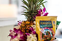 Turtle Bay Resort #6 WEST