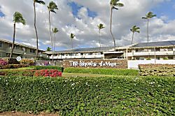 Shores of Maui Unit 220 - Property grounds