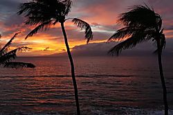 Paki Maui Condo Rental