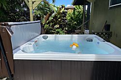 Alii Kai Mountain View Condo