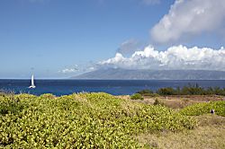 Kapalua Bay Villas 37G4