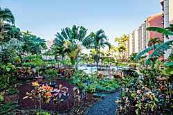 Aston Kaanapali Shores 619