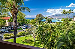 Maui Vista 3419