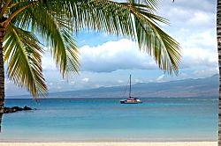 Secret Tropical Hideaway