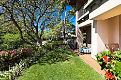 Secret Tropical Hideaway