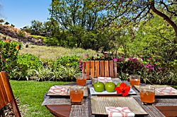 Secret Tropical Hideaway