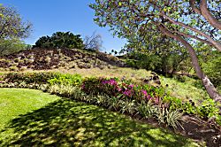 Secret Tropical Hideaway