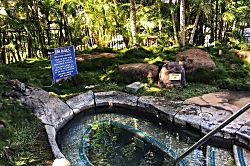 Maui Kamaole Resort Condo with Garden View