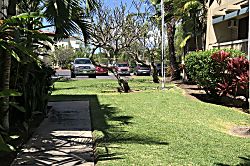 Kona Bali Kai  Rental