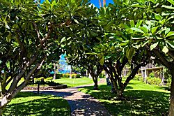 Luana Kai Resort B206
