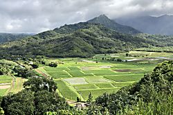 Lae Nani Condo unit 426 