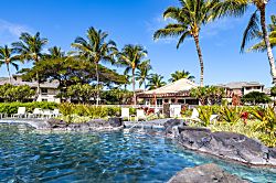 Hawaiian Heartstrings