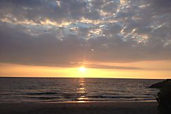 Hawaiian Heartstrings