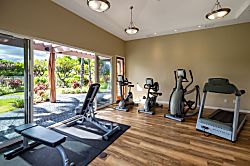 Hawaiian Heartstrings