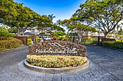 Hawaiian Heartstrings