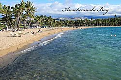 Hawaiian Heartstrings