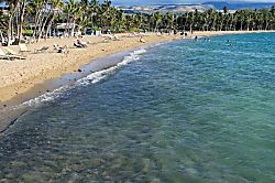 Hawaiian Heartstrings