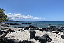 Hawaiian Heartstrings