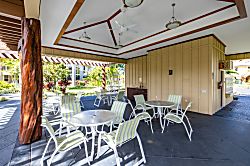 Hawaiian Heartstrings